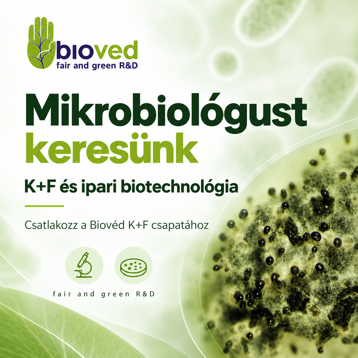 Mikrobiológust keresünk – Biovéd K+F